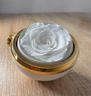 Circle Ring/Rose Box - خاتم دائري / علبة ورد